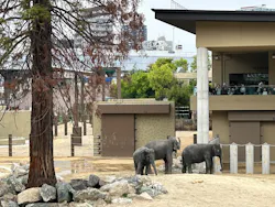 天王寺動物園に投稿された画像(2026/5/20)