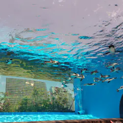 サンシャイン水族館に投稿された画像(2026/5/21)