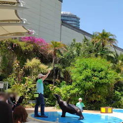 サンシャイン水族館に投稿された画像(2026/5/21)