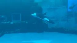 名古屋港水族館に投稿された画像(2026/5/23)