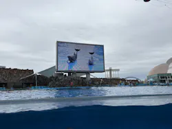 名古屋港水族館に投稿された画像(2026/5/23)
