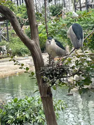 天王寺動物園に投稿された画像(2026/5/23)