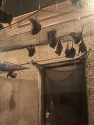 天王寺動物園に投稿された画像(2026/5/23)