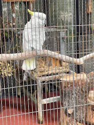 天王寺動物園に投稿された画像(2026/5/23)