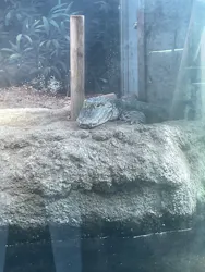 天王寺動物園に投稿された画像(2026/5/23)
