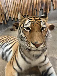 いしかわ動物園に投稿された画像(2026/5/23)