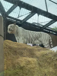 いしかわ動物園に投稿された画像(2026/5/23)