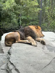 いしかわ動物園に投稿された画像(2026/5/23)