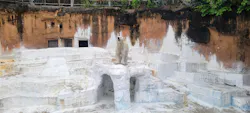 天王寺動物園に投稿された画像(2026/5/23)