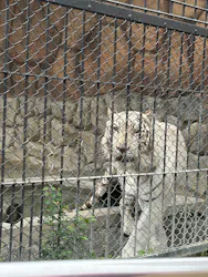 東武動物公園に投稿された画像(2026/5/23)