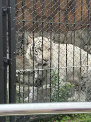 東武動物公園に投稿された画像(2026/5/23)