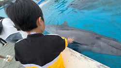 南知多ビーチランド&南知多おもちゃ王国に投稿された画像(2026/5/23)