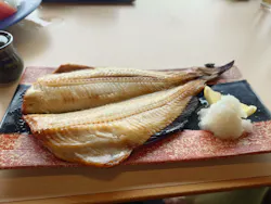 SPA&HOTEL水春松井山手に投稿された画像(2026/5/23)