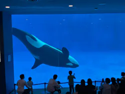 名古屋港水族館に投稿された画像(2026/5/23)