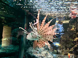 名古屋港水族館に投稿された画像(2026/5/24)