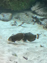 名古屋港水族館に投稿された画像(2026/5/24)