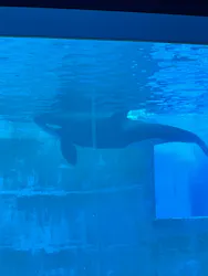 名古屋港水族館に投稿された画像(2026/5/24)