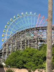 ひらかたパークに投稿された画像(2026/5/24)
