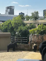 天王寺動物園に投稿された画像(2026/5/24)