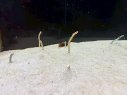 箱根園水族館に投稿された画像(2026/5/24)