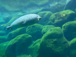 箱根園水族館に投稿された画像(2026/5/24)