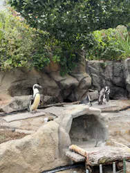 サンシャイン水族館に投稿された画像(2026/5/24)