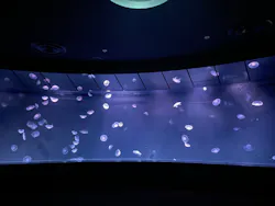 サンシャイン水族館に投稿された画像(2026/5/24)