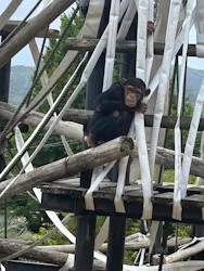 日立市かみね動物園に投稿された画像(2026/5/24)