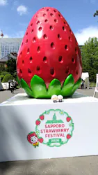 札幌ストロベリーフェスティバル2026に投稿された画像(2026/5/25)