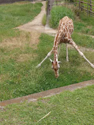 千葉市動物公園に投稿された画像(2026/5/25)