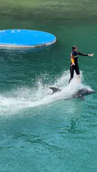 下田海中水族館に投稿された画像(2026/5/25)