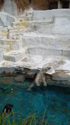 天王寺動物園に投稿された画像(2026/5/25)