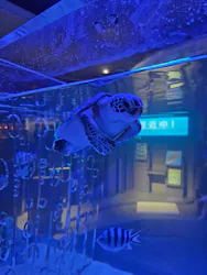 すみだ水族館に投稿された画像(2026/5/25)