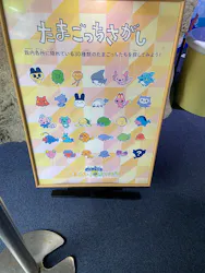 新江ノ島水族館に投稿された画像(2026/5/25)