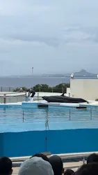沖縄美ら海水族館に投稿された画像(2026/5/27)