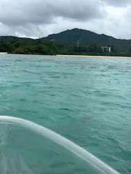 沖縄マングローブカヤック&シーカヤック専門 海遊俱楽部に投稿された画像(2026/5/28)