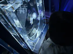 すみだ水族館に投稿された画像(2026/5/28)