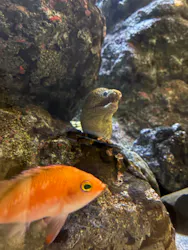 名古屋港水族館に投稿された画像(2026/5/28)