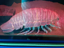 名古屋港水族館に投稿された画像(2026/5/28)