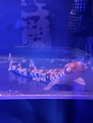 名古屋港水族館に投稿された画像(2026/5/28)