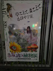自然体感展望台 六甲枝垂れに投稿された画像(2026/5/28)