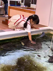 南知多ビーチランド&南知多おもちゃ王国に投稿された画像(2026/5/29)
