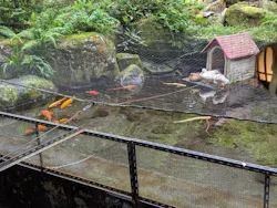 箱根湯本温泉 天成園に投稿された画像(2026/5/29)