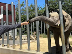 しろとり動物園に投稿された画像(2026/5/30)
