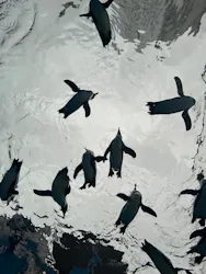 サンシャイン水族館に投稿された画像(2026/5/30)
