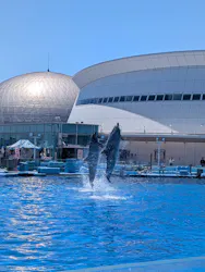 名古屋港水族館に投稿された画像(2026/5/30)