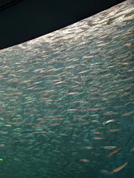 名古屋港水族館に投稿された画像(2026/5/30)