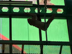 千葉市動物公園に投稿された画像(2026/5/30)