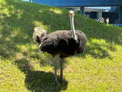 千葉市動物公園に投稿された画像(2026/5/30)