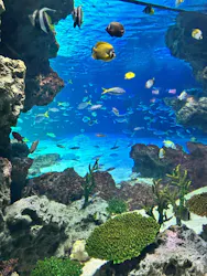 サンシャイン水族館に投稿された画像(2026/5/30)